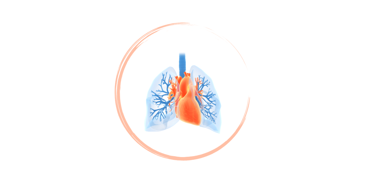 6. Patiententreffen Pulmonale Hypertonie – Online