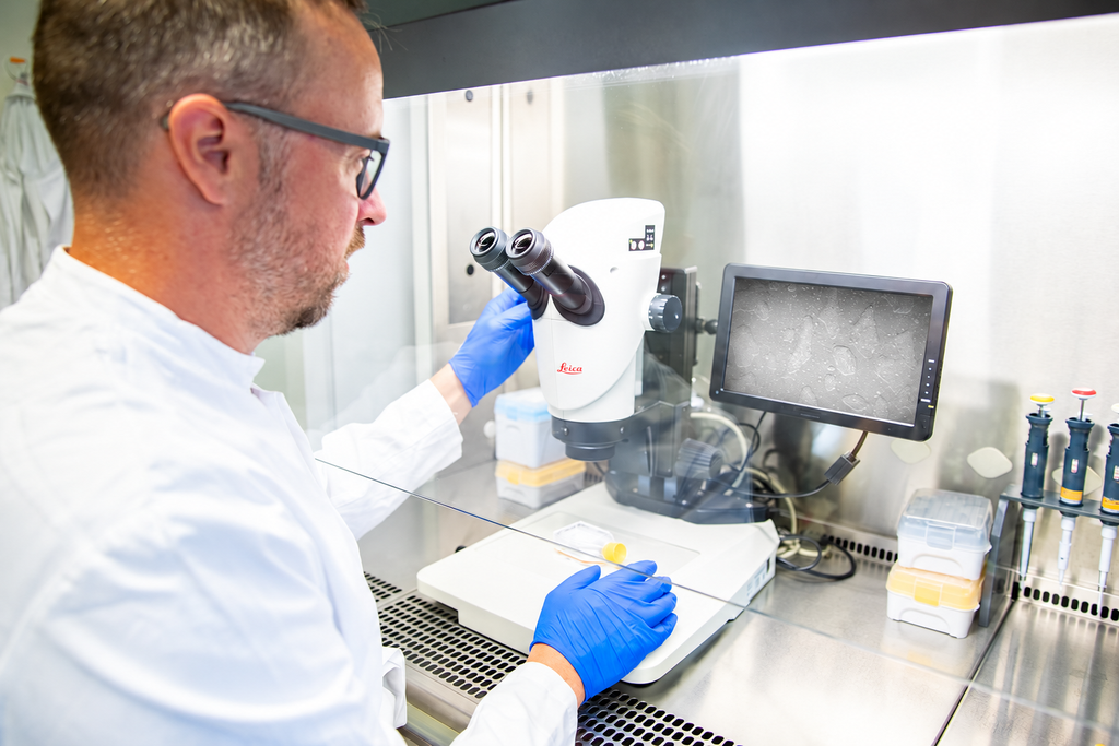 Prof. Dr. Nico Lachmann schaut sich Makrophagen unter dem Mikroskop an. Er ist federführend im neuen EU-Projekt zur innovativen Immunzelltherapie gegen Lungenfibrose tätig.